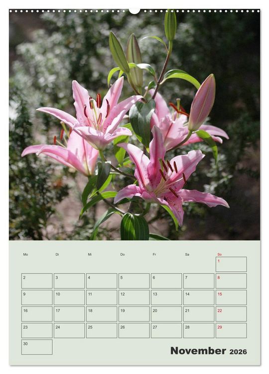Produktbild: Lilien im Garten (hochwertiger Premium Wandkalender 2026 DIN A2 hoch), Kunstdruck in Hochglanz