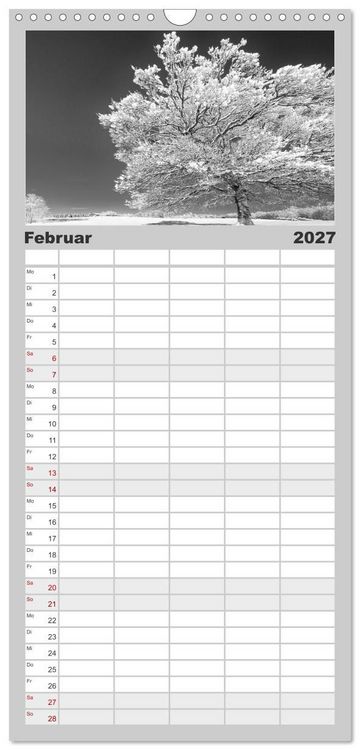 Produktbild: Familienplaner 2027 - Traumhafte Allg&auml;uer Alpen mit 5 Spalten (Wandkalender, 21 x 45 cm) CALVENDO