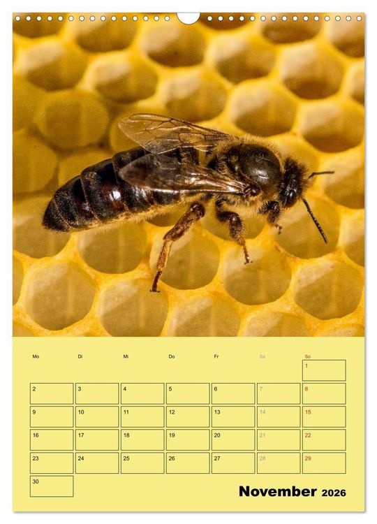 Produktbild: Bienenplaner (Wandkalender 2026 DIN A3 hoch), CALVENDO Monatskalender