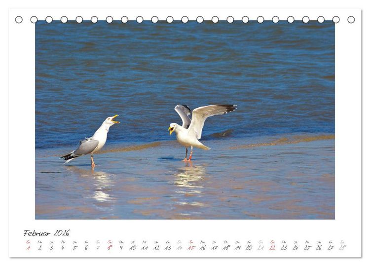 Produktbild: Nordsee - einfach Meer (Tischkalender 2026 DIN A5 quer), CALVENDO Monatskalender