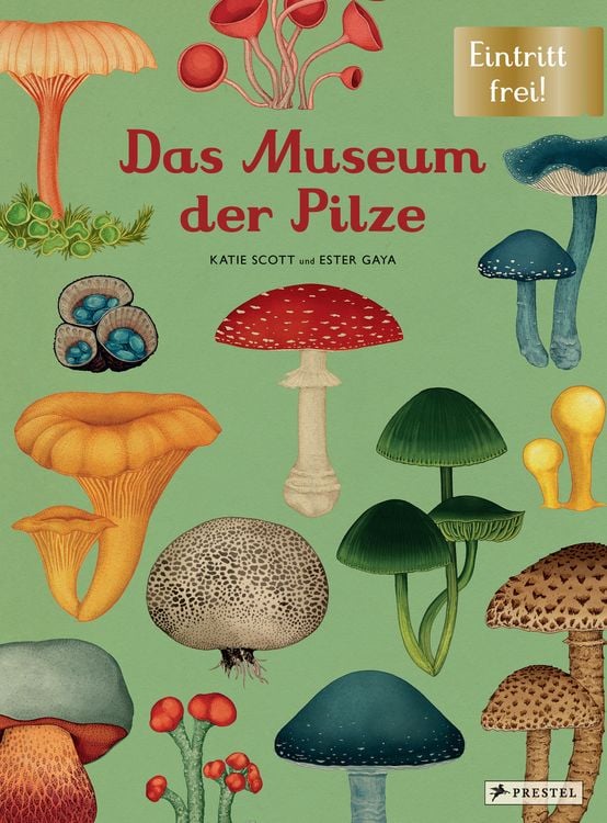 Produktbild: Das Museum der Pilze