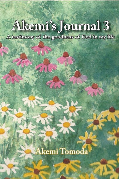 Produktbild: Akemi's Journal 3
