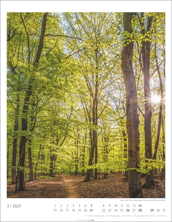 Produktbild: Heimische W&auml;lder Kalender 2027