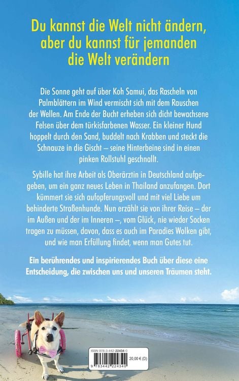 Produktbild: Pfoten im Sand