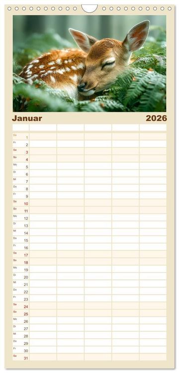 Produktbild: Familienplaner 2026 - GUTE NACHT - Schlafende Tiere, traumhaft sch&ouml;n mit 5 Spalten (Wandkalender, 21 x 45 cm) CALVENDO