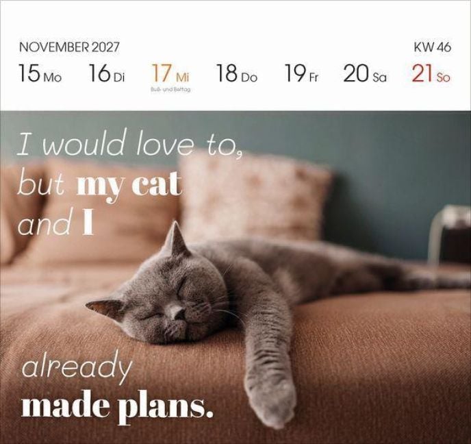 Produktbild: Katzen 2027