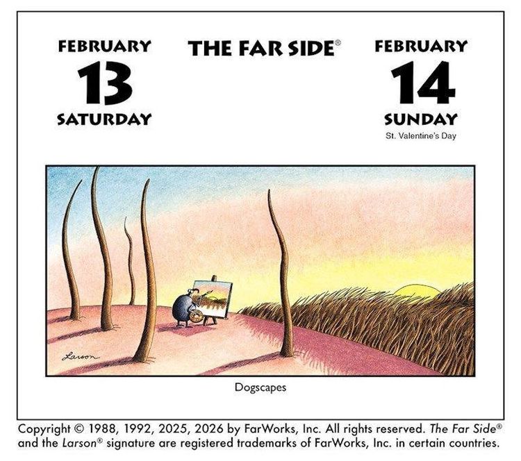 Produktbild: The Far Side 2027
