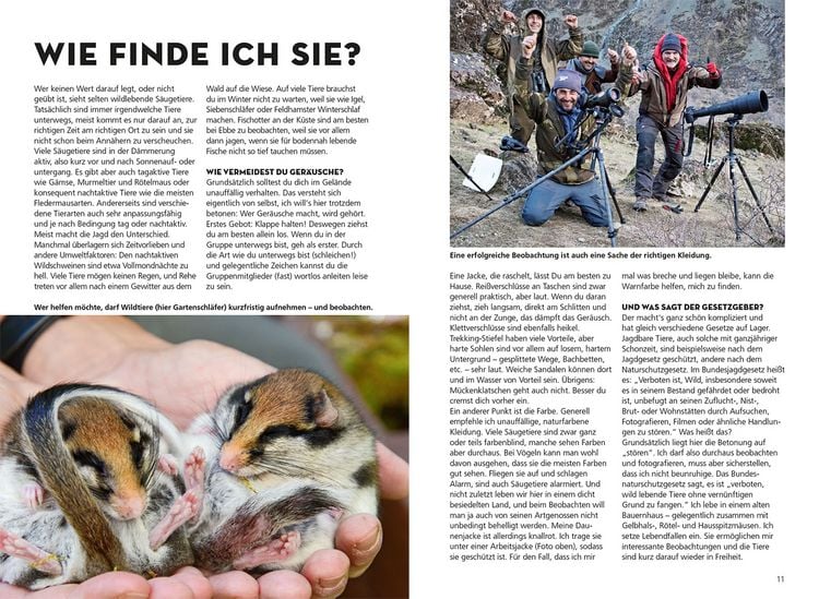 Produktbild: Die siehst du - Die Tiere um dich herum