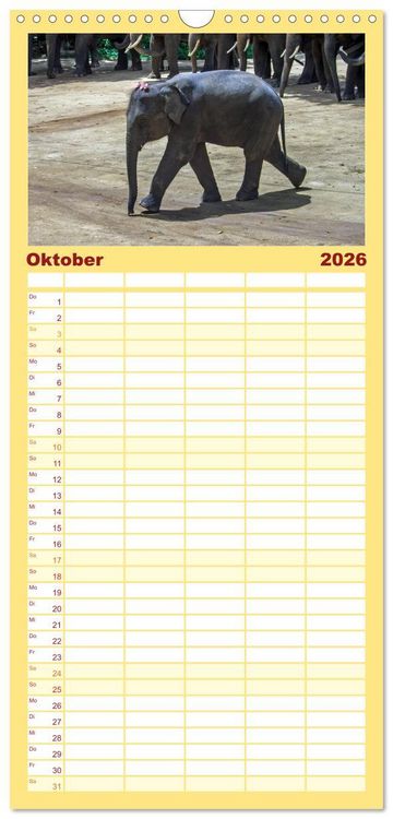 Produktbild: Familienplaner 2026 - Elefanten. Badespa&szlig; am Strand mit 5 Spalten (Wandkalender, 21 x 45 cm) CALVENDO