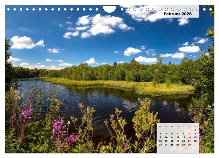 Produktbild: Rh&ouml;ner R&ouml;schen - ein Sommerm&auml;rchen in der Hochrh&ouml;n (Wandkalender 2026 DIN A4 quer), CALVENDO Monatskalender