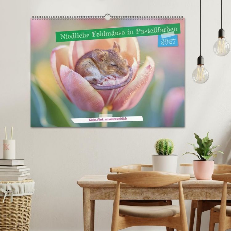 Produktbild: Niedliche Feldm&auml;use in Pastellfarben (Wandkalender 2027 DIN A2 quer), CALVENDO Monatskalender