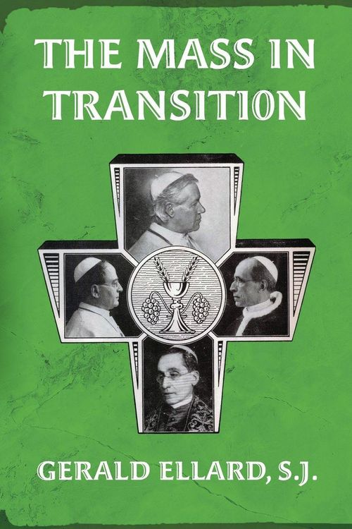 Produktbild: The Mass in Transition