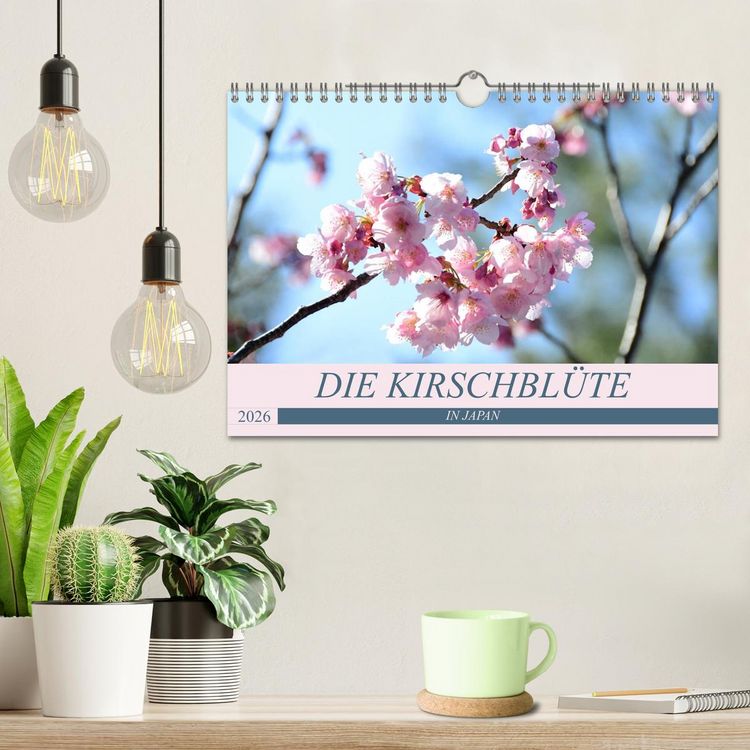 Produktbild: Die Kirschbl&uuml;te in Japan (Wandkalender 2026 DIN A4 quer), CALVENDO Monatskalender