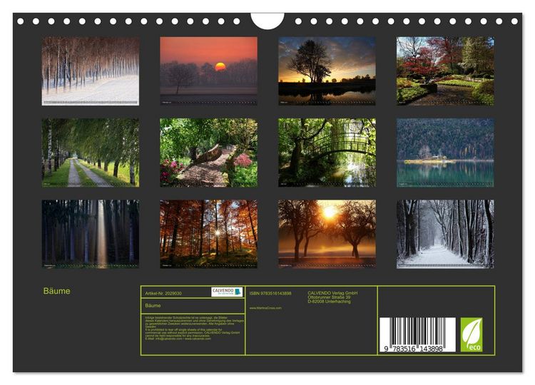 Produktbild: B&auml;ume (Wandkalender 2026 DIN A4 quer), CALVENDO Monatskalender