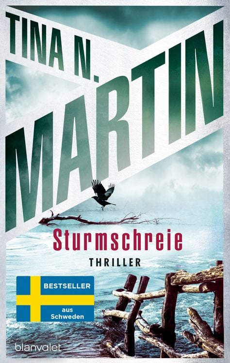 Bild vom Artikel Sturmschreie vom Autor Tina N. Martin