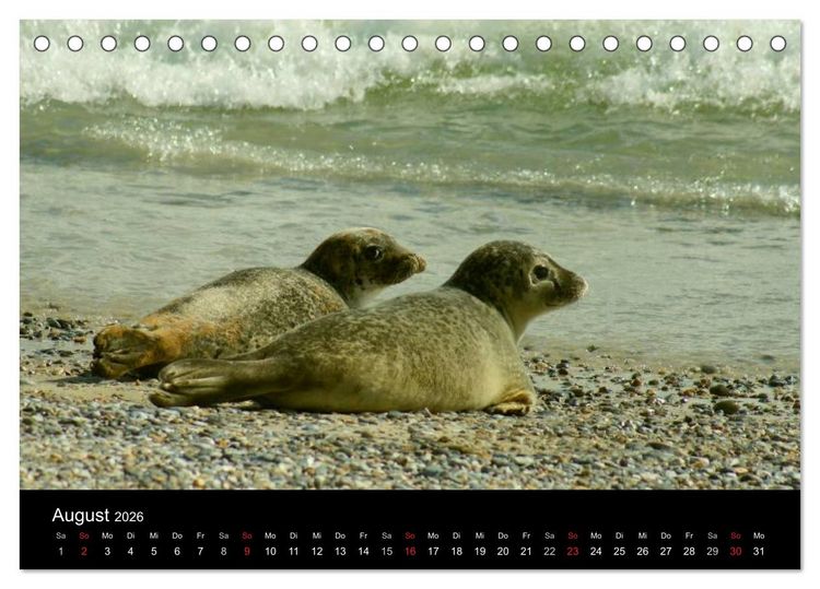 Produktbild: An der Nordsee (Tischkalender 2026 DIN A5 quer), CALVENDO Monatskalender