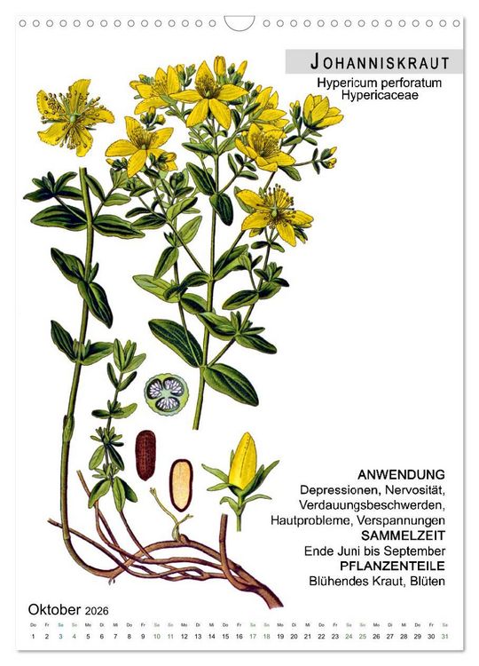 Produktbild: Heilpflanzen (Wandkalender 2026 DIN A3 hoch), CALVENDO Monatskalender
