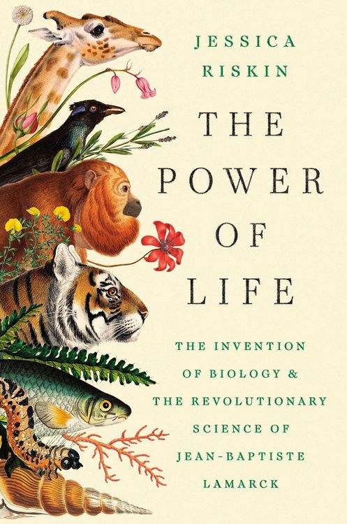 Produktbild: The Power of Life