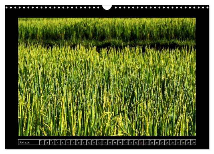 Produktbild: Bali - Details (Wandkalender 2026 DIN A3 quer), CALVENDO Monatskalender