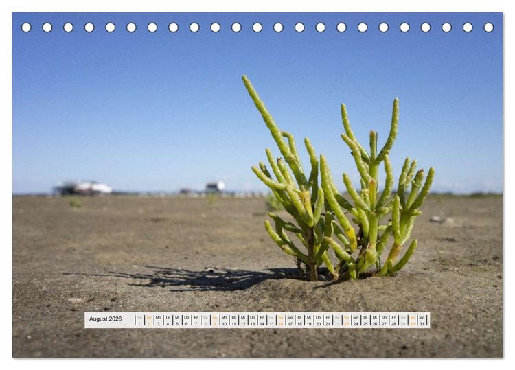 Produktbild: St. Peter-Ording (Tischkalender 2026 DIN A5 quer), CALVENDO Monatskalender