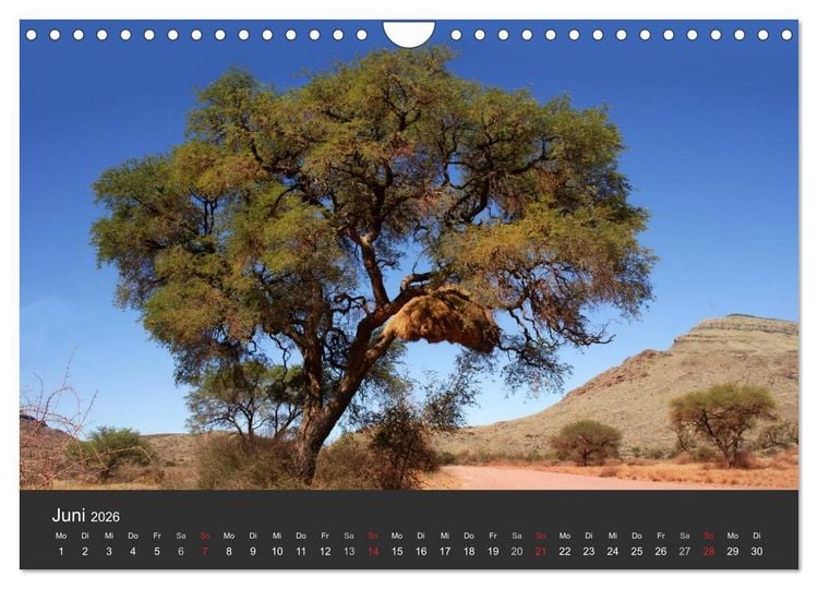 Produktbild: Alte B&auml;ume Alte Veteranen (Wandkalender 2026 DIN A4 quer), CALVENDO Monatskalender