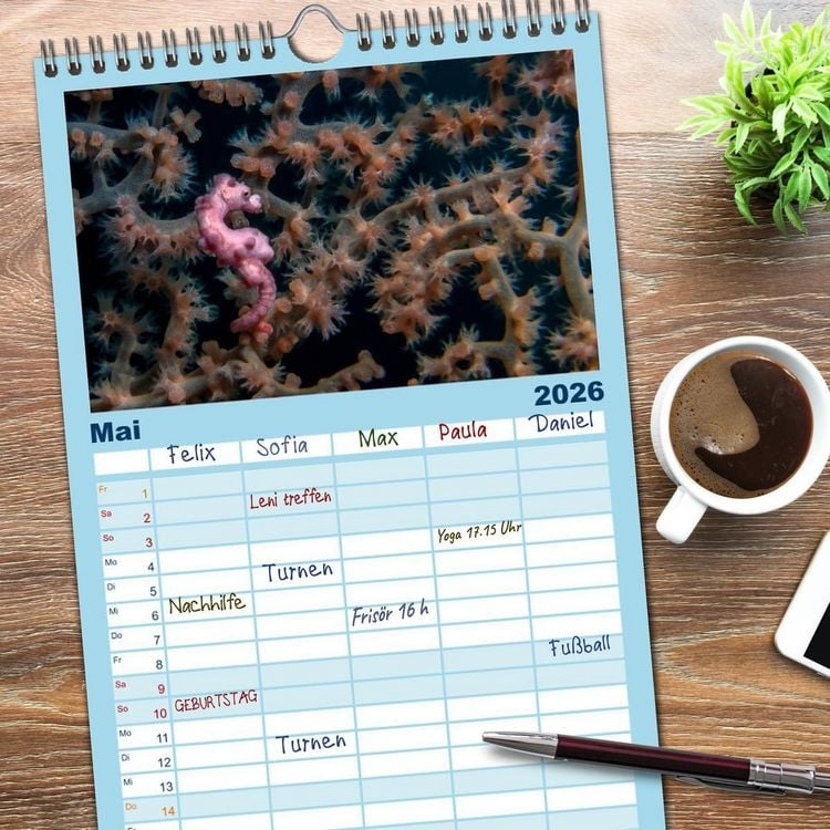 Produktbild: Familienplaner 2026 - Hippocampus oder einfach nur Seepferdchen mit 5 Spalten (Wandkalender, 21 x 45 cm) CALVENDO