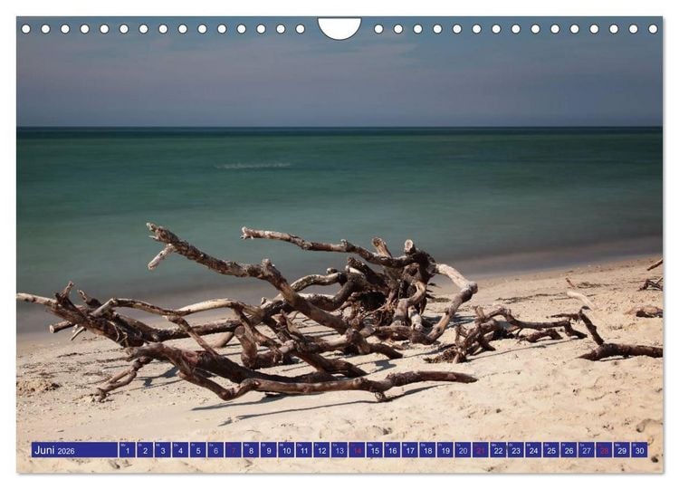 Produktbild: Weststrand Dar&szlig; (Wandkalender 2026 DIN A4 quer), CALVENDO Monatskalender