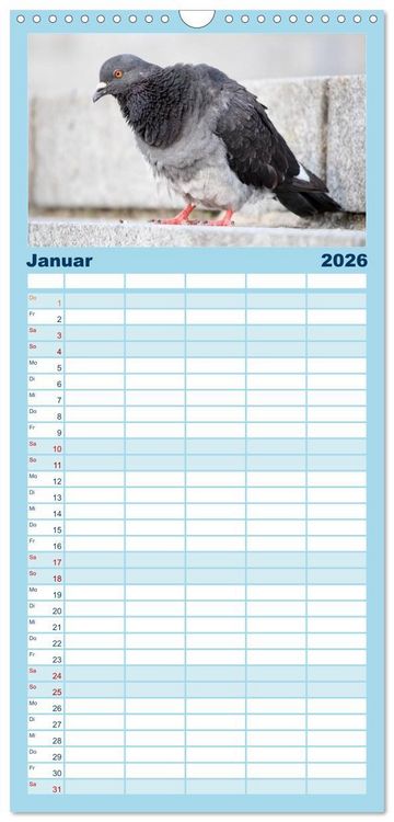 Produktbild: Familienplaner 2026 - Geliebte Tauben mit 5 Spalten (Wandkalender, 21 x 45 cm) CALVENDO