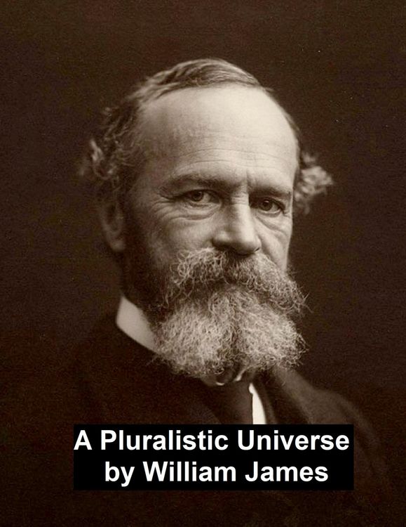Produktbild: A Pluralistic Universe
