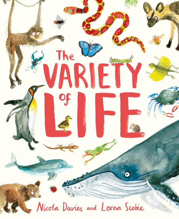 Produktbild: The Variety of Life