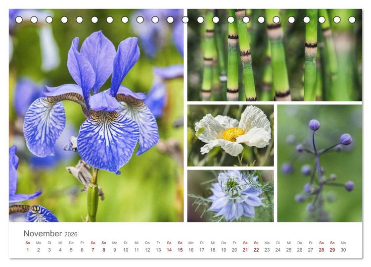 Produktbild: Ein Garten, der zum Verweilen einl&auml;dt (Tischkalender 2026 DIN A5 quer), CALVENDO Monatskalender