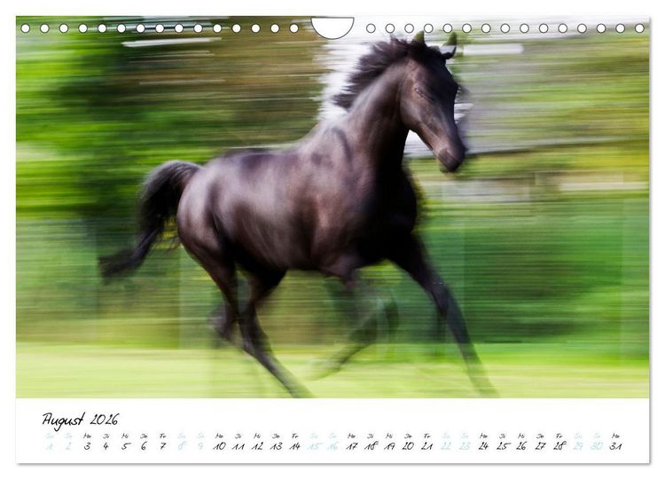 Produktbild: Pferde vom Wind verweht (Wandkalender 2026 DIN A4 quer), CALVENDO Monatskalender