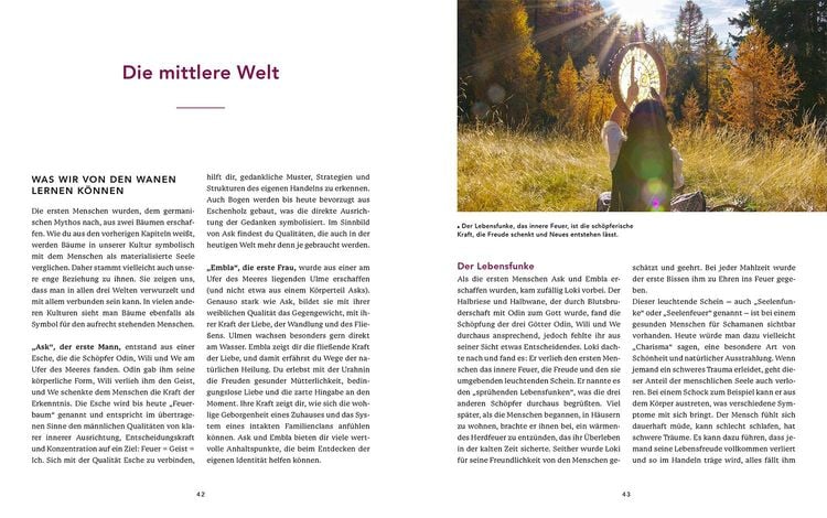 Schamanisches Urwissen unserer europäischen Ahnen