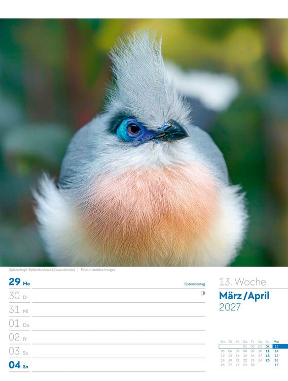 Produktbild: V&ouml;gel Wochenplaner Kalender 2027
