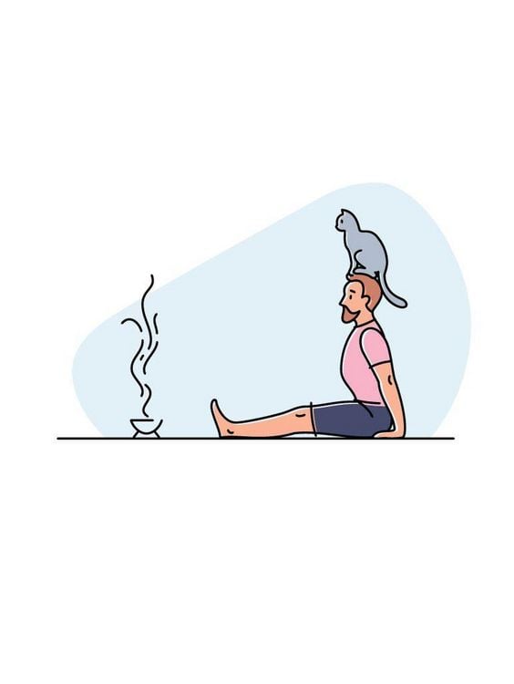 Produktbild: Yoga mit Katze