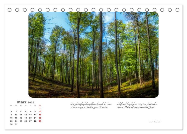 Produktbild: Max Dauthendey - Mit dem Wald durchs Jahr (Tischkalender 2026 DIN A5 quer), CALVENDO Monatskalender