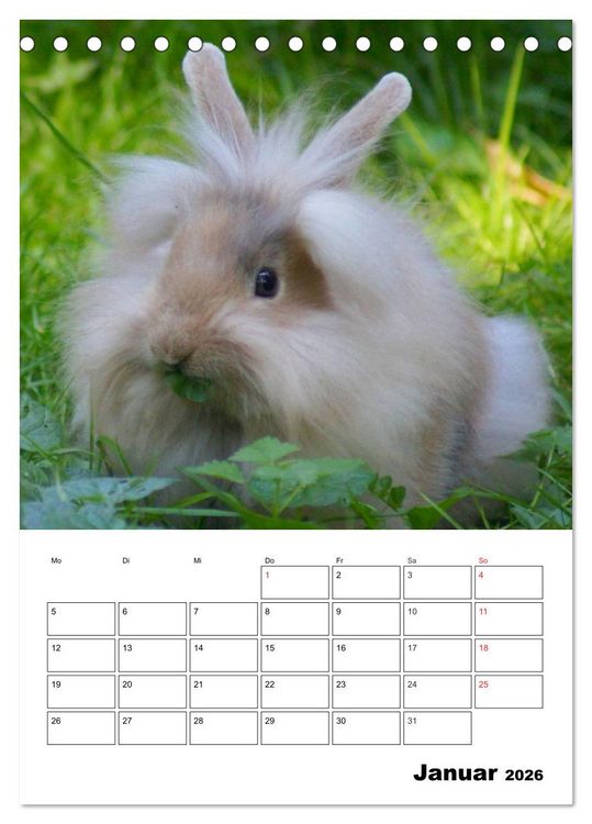 Produktbild: Kaninchen Terminplaner (Tischkalender 2026 DIN A5 hoch), CALVENDO Monatskalender