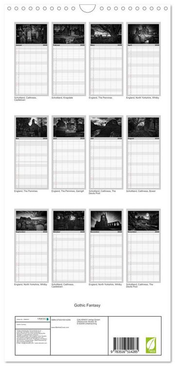 Produktbild: Familienplaner 2026 - Gothic Fantasy mit 5 Spalten (Wandkalender, 21 x 45 cm) CALVENDO