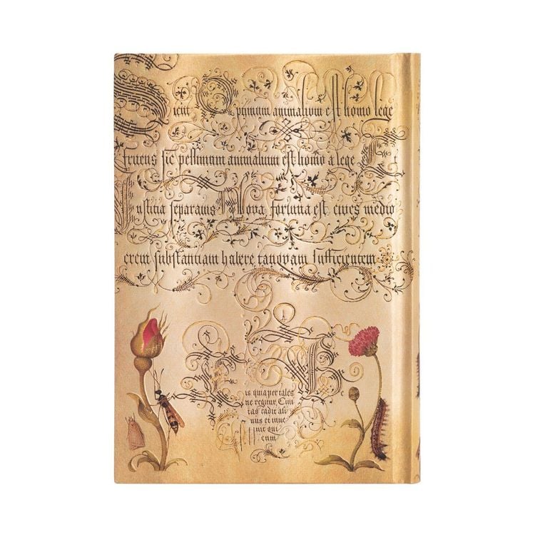 Produktbild: Hardcover Notizbuch Fl&auml;mische Rose, Midi, Unliniert