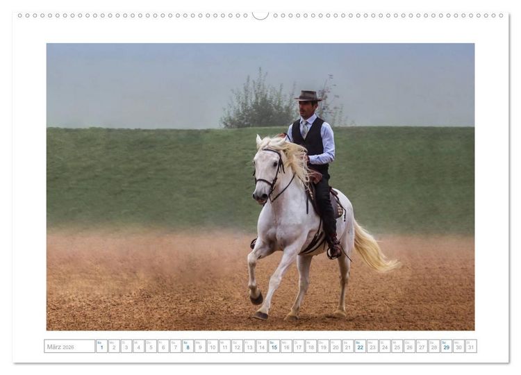 Produktbild: Wei&szlig;e Pferde der Camargue in Bayern (hochwertiger Premium Wandkalender 2026 DIN A2 quer), Kunstdruck in Hochglanz