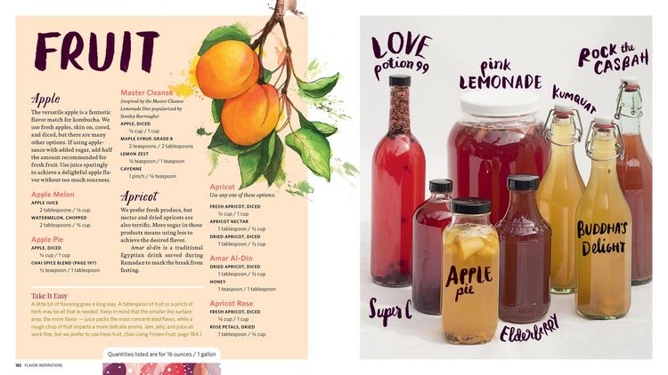 Produktbild: The Big Book of Kombucha