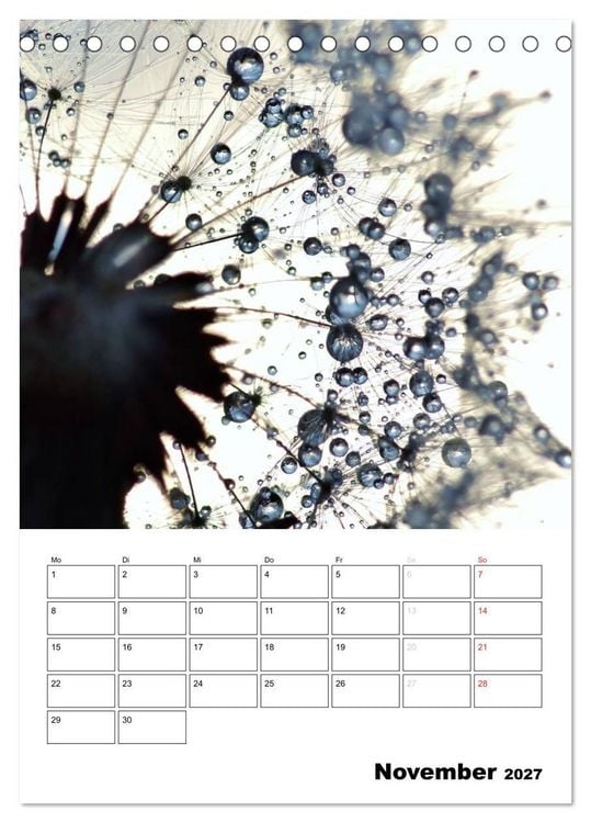 Produktbild: Pusteblumentraum - Dreams of Dandelion (Tischkalender 2027 DIN A5 hoch), CALVENDO Monatskalender