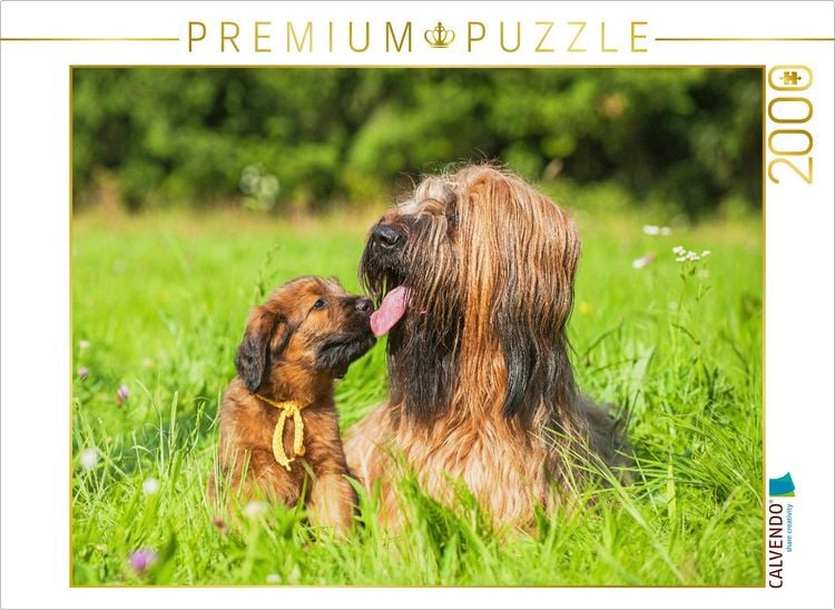 Produktbild: CALVENDO Puzzle Briard- H&uuml;ndin mit einem ihrer Welpen | 2000 Teile Lege-Gr&ouml;&szlig;e 90x67cm Foto-Puzzle f&uuml;r gl&uuml;ckliche Stunden