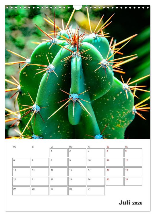 Produktbild: Dornige Sch&ouml;nheiten - Kakteen und Sukkulenten (Wandkalender 2026 DIN A3 hoch), CALVENDO Monatskalender