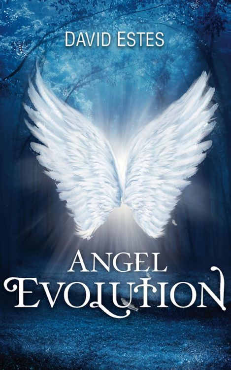 Produktbild: Angel Evolution
