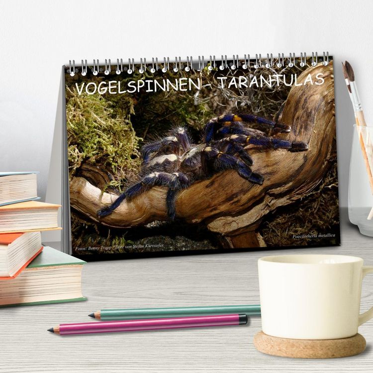 Produktbild: Vogelspinnen - Tarantulas (Tischkalender 2026 DIN A5 quer), CALVENDO Monatskalender
