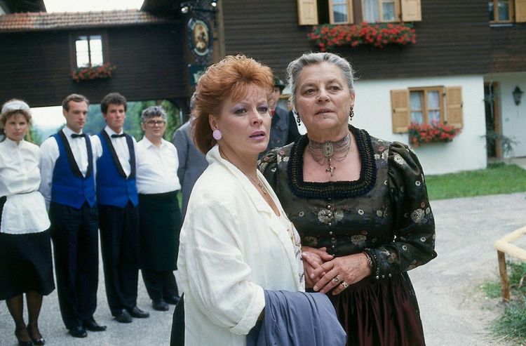 Produktbild: Waldhaus - Die komplette ZDF-Serie in 18 Teilen (Fernsehjuwelen) [6 DVDs]