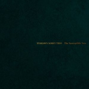 Produktbild: The Susceptible Now