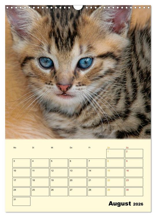 Produktbild: K&auml;tzchen - Theater (Wandkalender 2026 DIN A3 hoch), CALVENDO Monatskalender