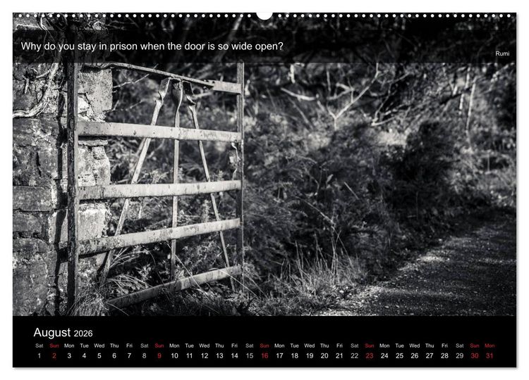 Produktbild: Through the Gate with Rumi (High Quality Premium Wall Calendar 2026 DIN A2 landscape),CALVENDO 12 Month Wall Calendar